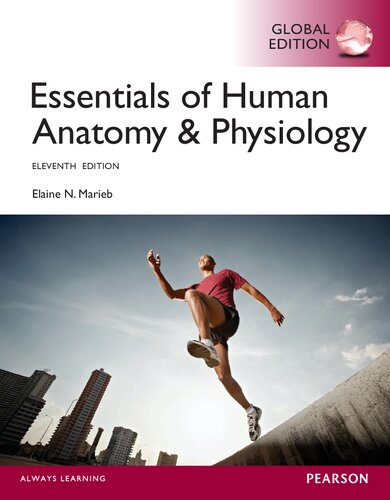 Essentials of Human Anatomy & Physiology Global Edition (11th Edition) - Orginal Pdf